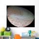 Triton Largest Moon Planet Wall Decal