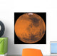 Global Color Mars Wall Decal