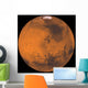 Global Color Mars Wall Decal