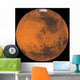 Global Color Mars Wall Decal