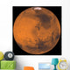 Global Color Mars Wall Decal
