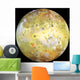 Jupiter's Moon Lo Wall Decal Design 2