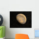 Global Mars Wall Decal