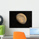 Global Mars Wall Decal