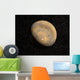 Global Mars Wall Decal