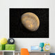 Global Mars Wall Decal