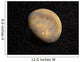 Global Mars Wall Decal