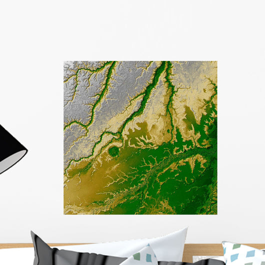 Bolivian Amazon Wall Decal