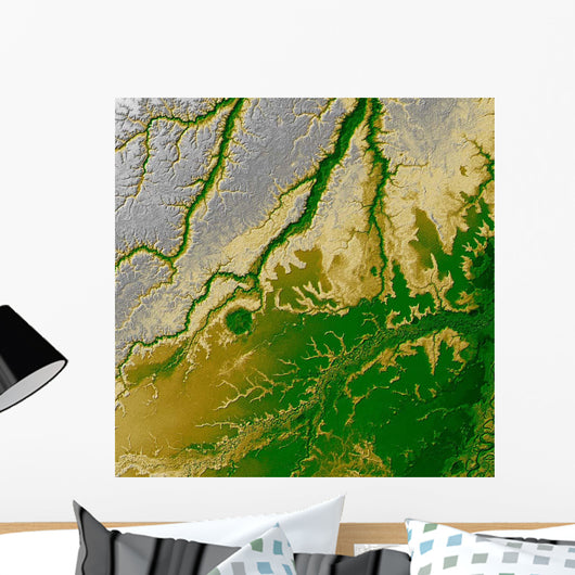 Bolivian Amazon Wall Decal