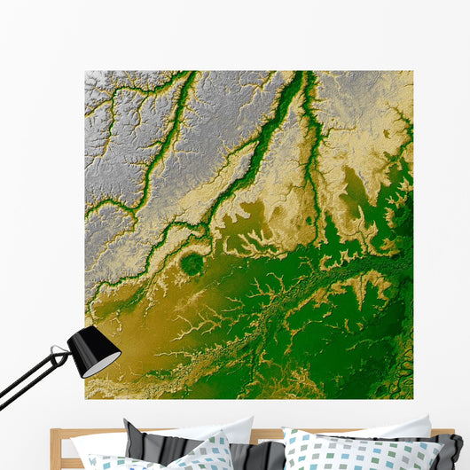 Bolivian Amazon Wall Decal