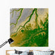 Bolivian Amazon Wall Decal