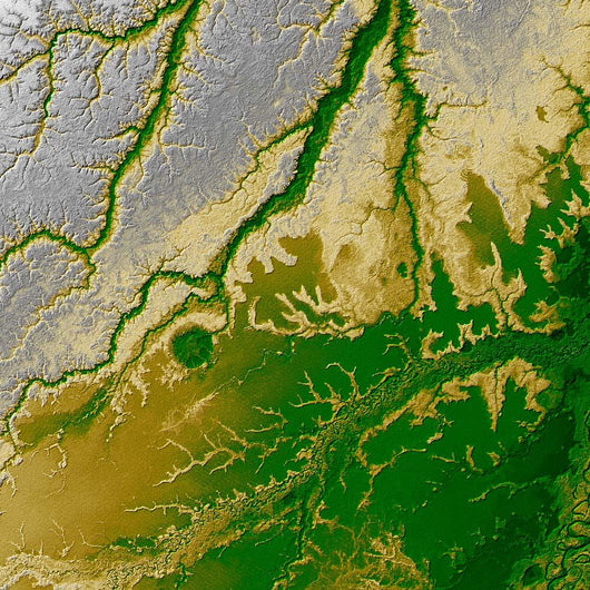 Bolivian Amazon Wall Decal