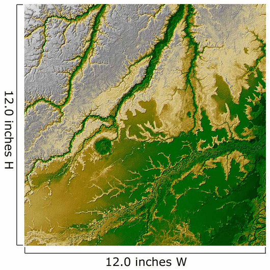 Bolivian Amazon Wall Decal