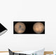 Global Views Mars Late Wall Decal