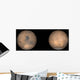 Global Views Mars Late Wall Decal