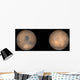 Global Views Mars Late Wall Decal