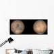 Global Views Mars Late Wall Decal