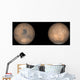 Global Views Mars Late Wall Decal