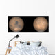Global Views Mars Late Wall Decal