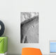 Gullied Crater Wall Terra Wall Decal