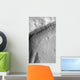 Gullied Crater Wall Terra Wall Decal