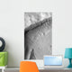 Gullied Crater Wall Terra Wall Decal