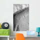 Gullied Crater Wall Terra Wall Decal