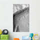 Gullied Crater Wall Terra Wall Decal