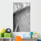Gullied Crater Wall Terra Wall Decal