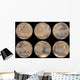 Mid-northern Summer Southern Winter Wall Decal