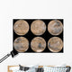 Mid-northern Summer Southern Winter Wall Decal
