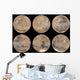 Mid-northern Summer Southern Winter Wall Decal