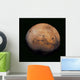 Mars Wall Decal Design 2