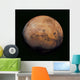 Mars Wall Decal Design 2