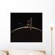 Mars Odyssey Spacecraft over Wall Decal