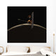 Mars Odyssey Spacecraft over Wall Decal