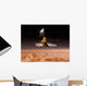 Mars Reconnaissance Orbiter Passes Wall Decal