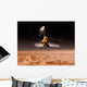 Mars Reconnaissance Orbiter Passes Wall Decal