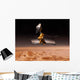Mars Reconnaissance Orbiter Passes Wall Decal