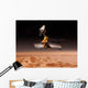 Mars Reconnaissance Orbiter Passes Wall Decal
