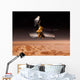 Mars Reconnaissance Orbiter Passes Wall Decal