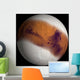 Simulated Mars Wall Decal
