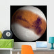Simulated Mars Wall Decal