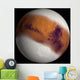 Simulated Mars Wall Decal