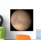 Mars Wall Decal Design 1