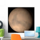Mars Wall Decal Design 1