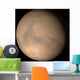 Mars Wall Decal Design 1