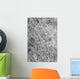 Ancient Meteor Crater Northeastern Wall Decal