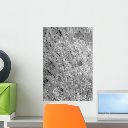 Ancient Meteor Crater Northeastern Wall Decal