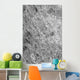 Ancient Meteor Crater Northeastern Wall Decal